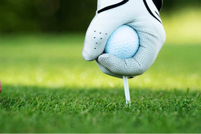 1 Kg Graszaad Greenato Sport Sportveld En Speelveld Gras Gazonzaad 1012672062 1 Kg Graszaad Greenato Sport Sportveld En Speelveld Gras Gazonzaad 1012672062