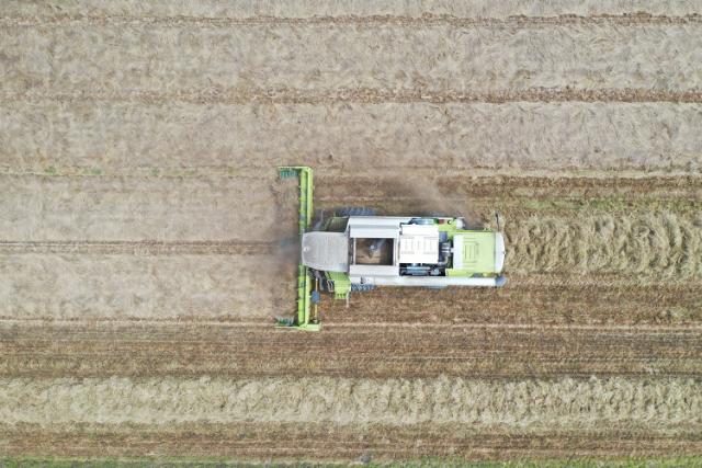 Droneshot van graszaadoogst