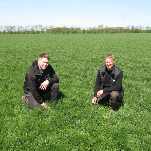 Graszaadteler en teeltbegeleider