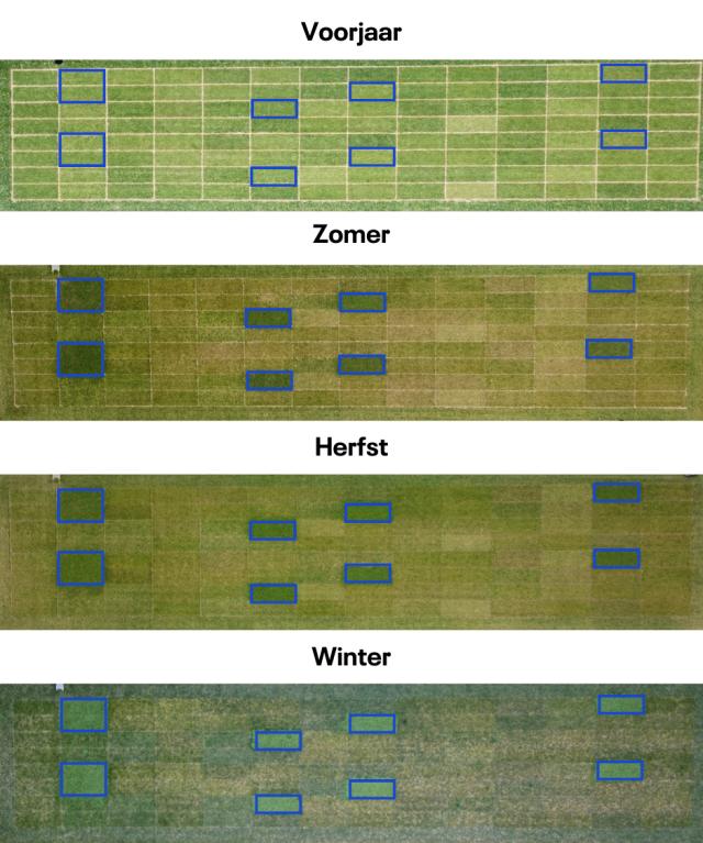 Microclover plotjes door het jaar heen