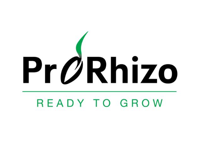 ProRhizo